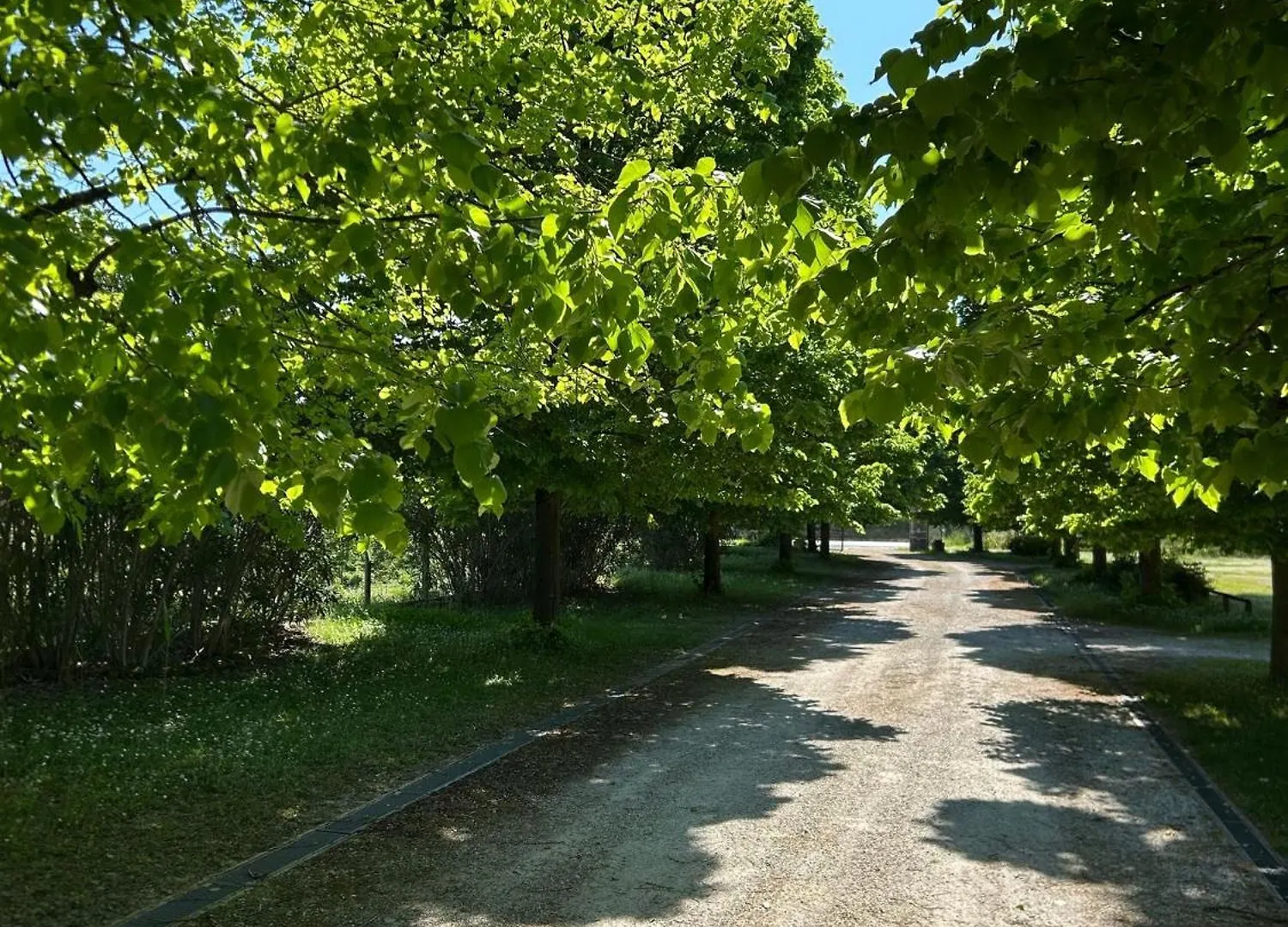 乡村民宿 Agriturismo La Valle Dei Conti 切塞纳
